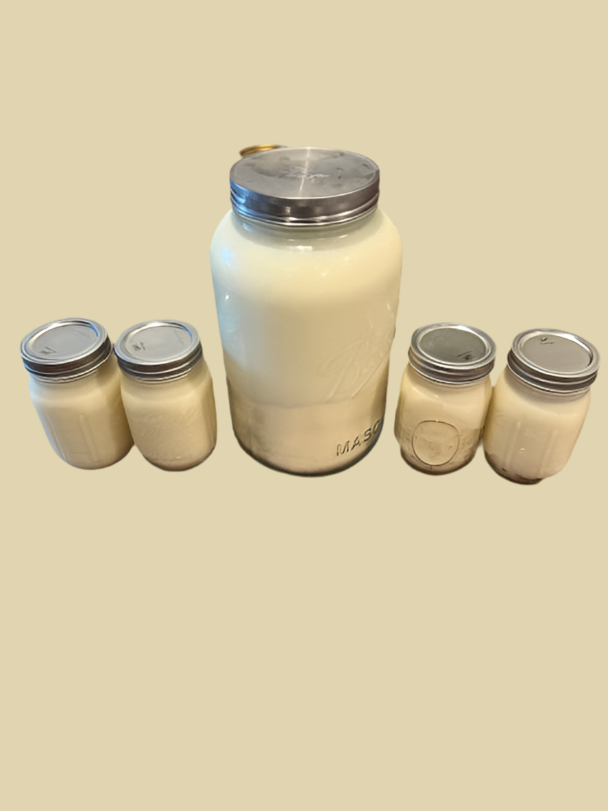 100% grass-fed beef tallow 2 16oz Jars